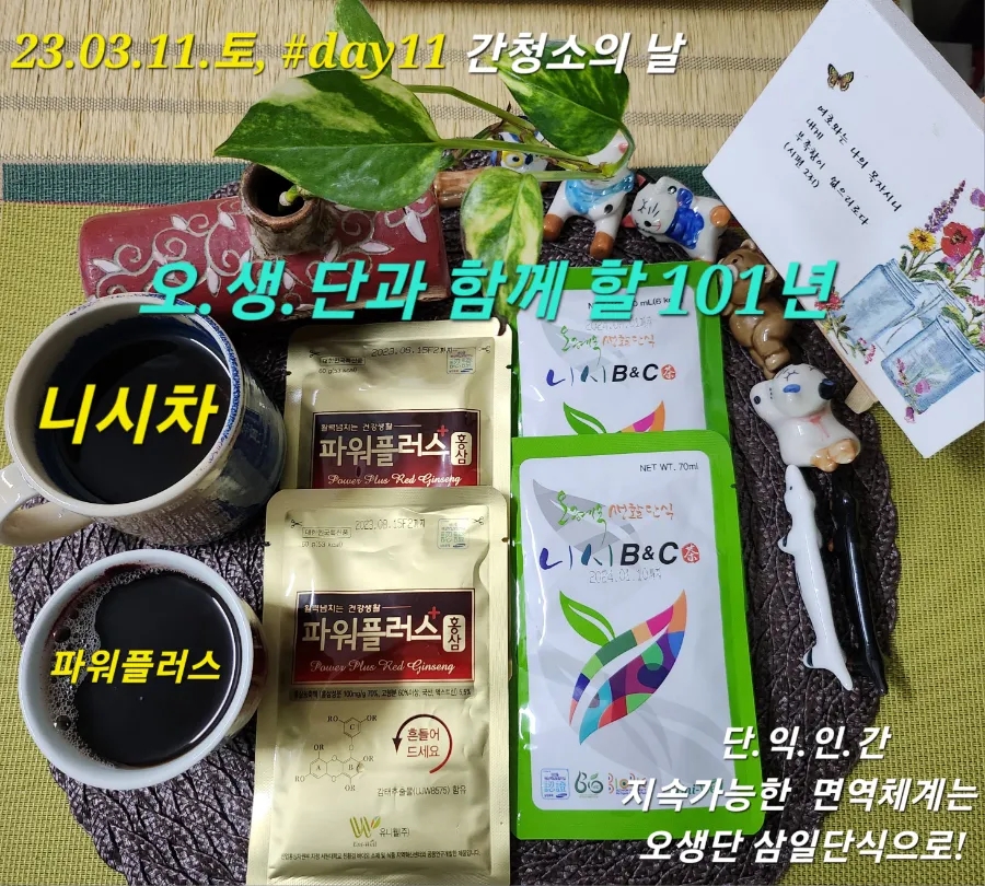 원샷파워플러스 이미지