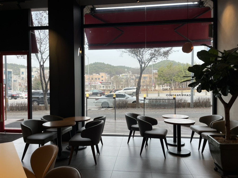 파스쿠찌춘천거두점 이미지