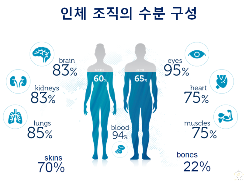 에이원짐 이미지