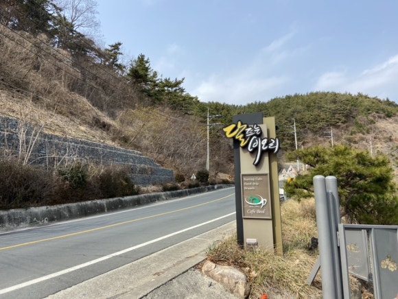 달뜨는비오리 이미지