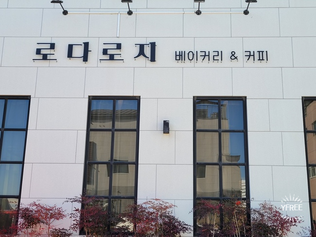 로다로지 이미지