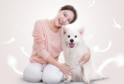 피씨에이치 이미지