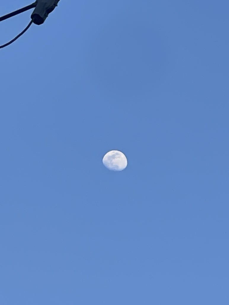 밥도둑 꽃게장(무한리필) 이미지