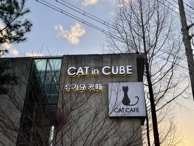 인큐브시스템 이미지