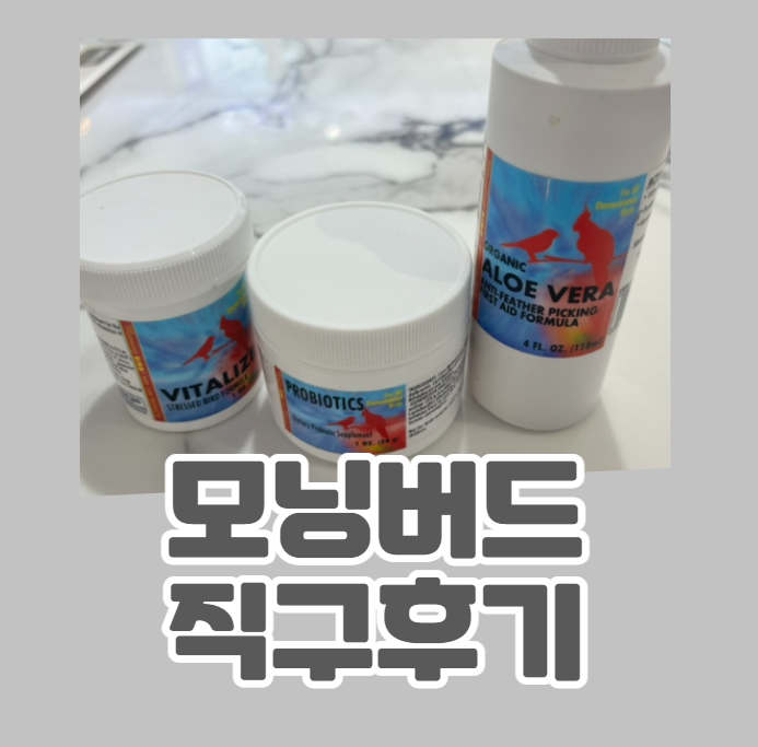바이탈라이즈(vitalize) 이미지
