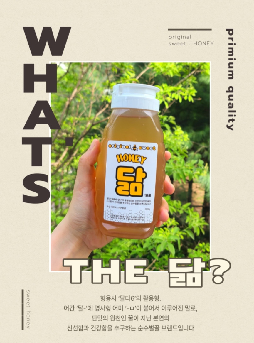 더닮 이미지