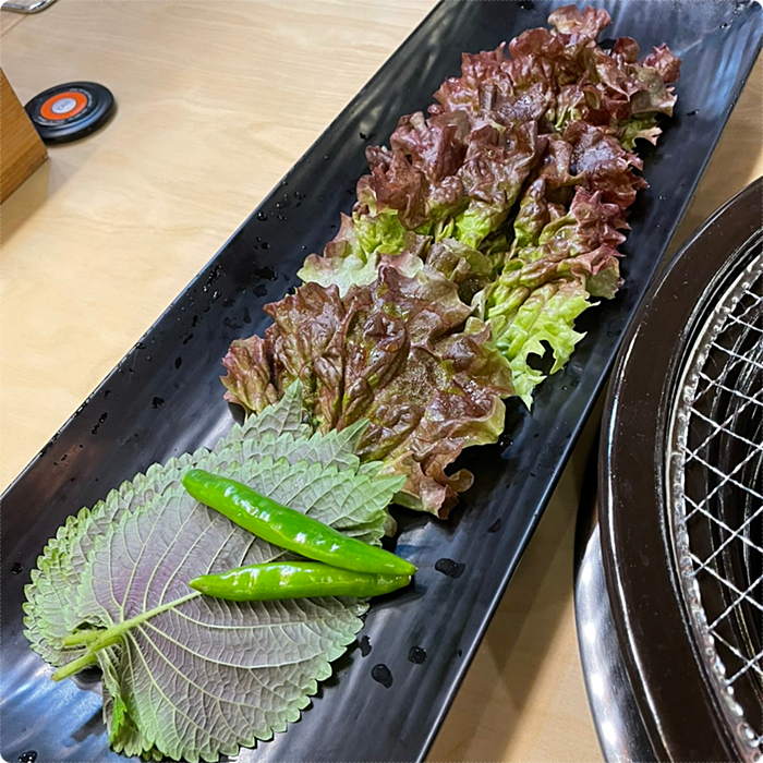 갈비둥지로 이미지