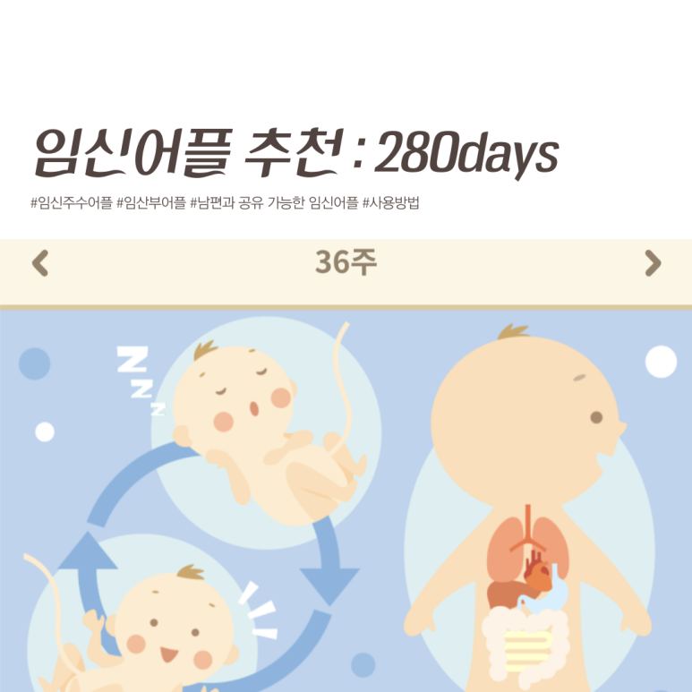 280데이즈 이미지