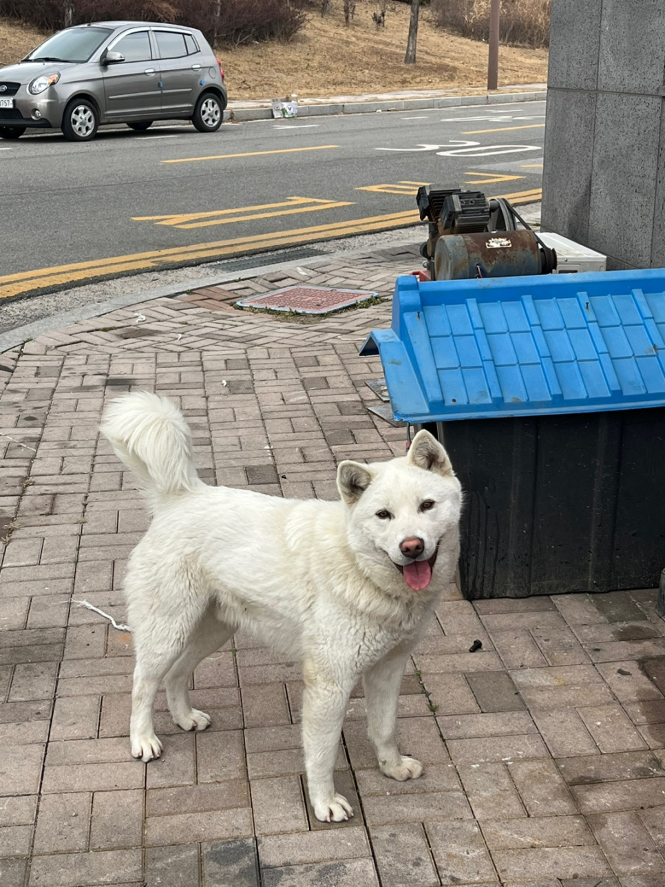 수현공업사 이미지