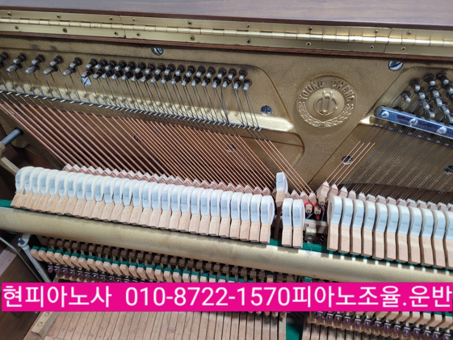 라온피아노음악교습소 이미지