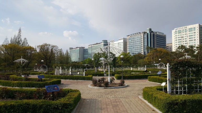 도담크린 이미지
