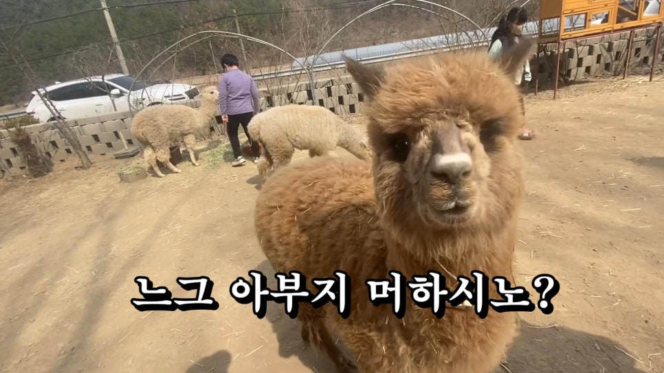 나드리다방 이미지