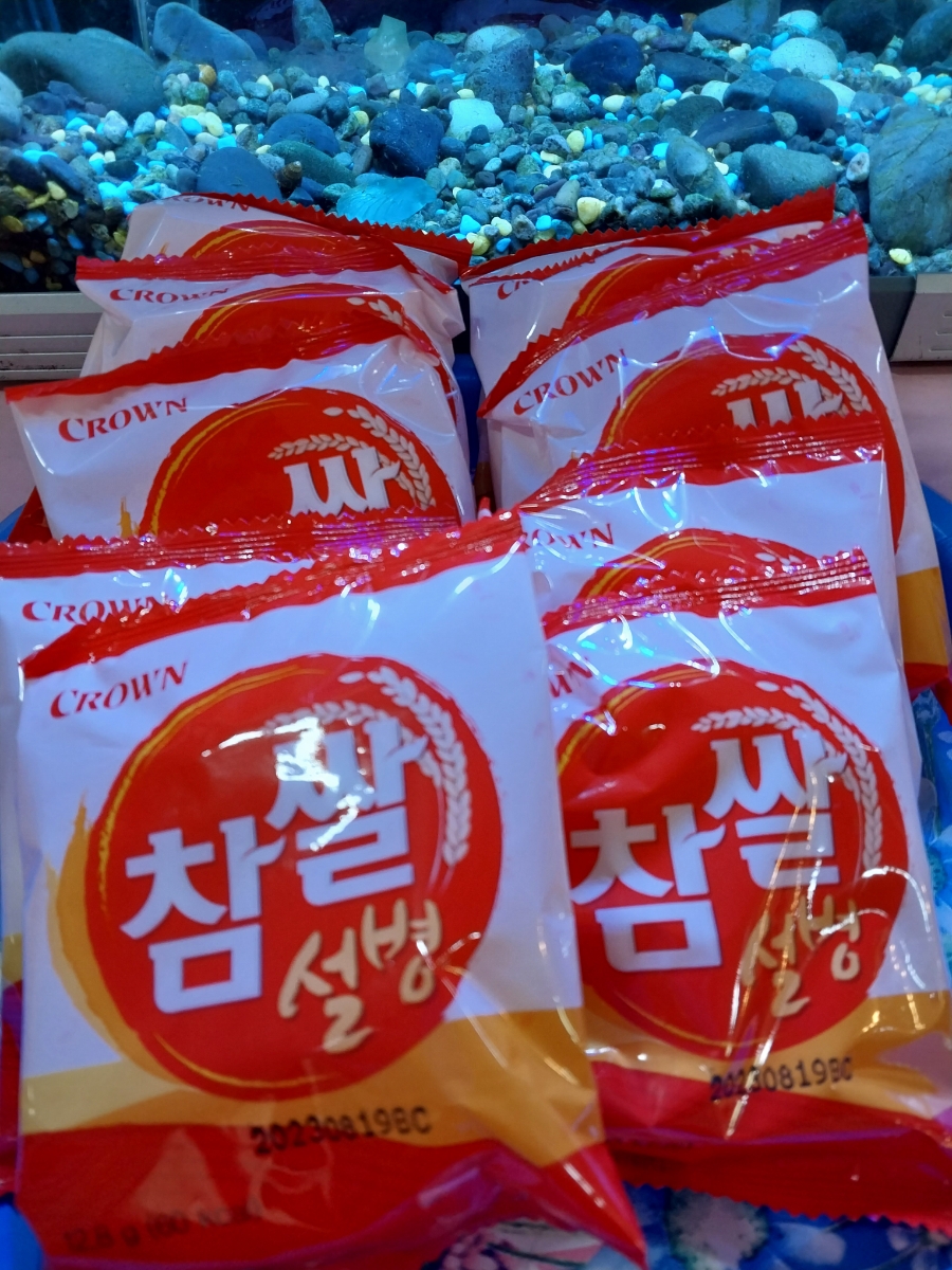 새상지음악학원 이미지