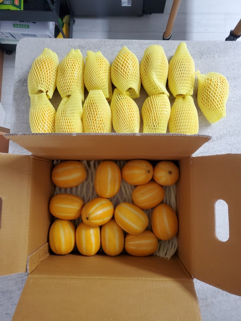 과일점빵 이미지