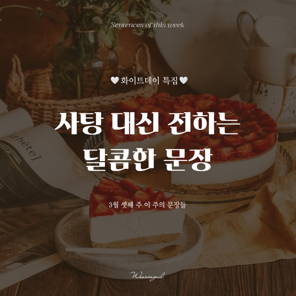 스타일입다별 이미지