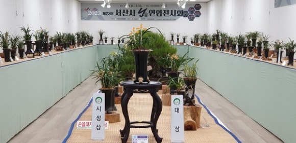 사단법인 안견기념사업회 이미지
