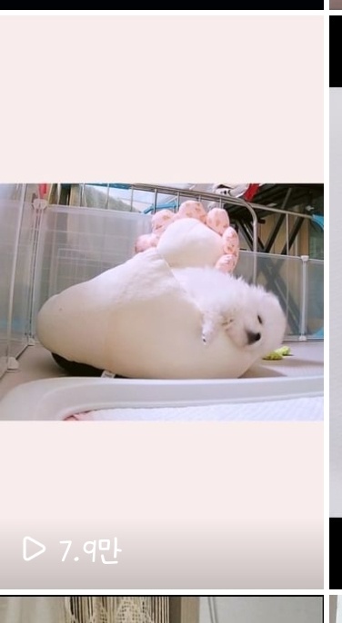 키멍 이미지