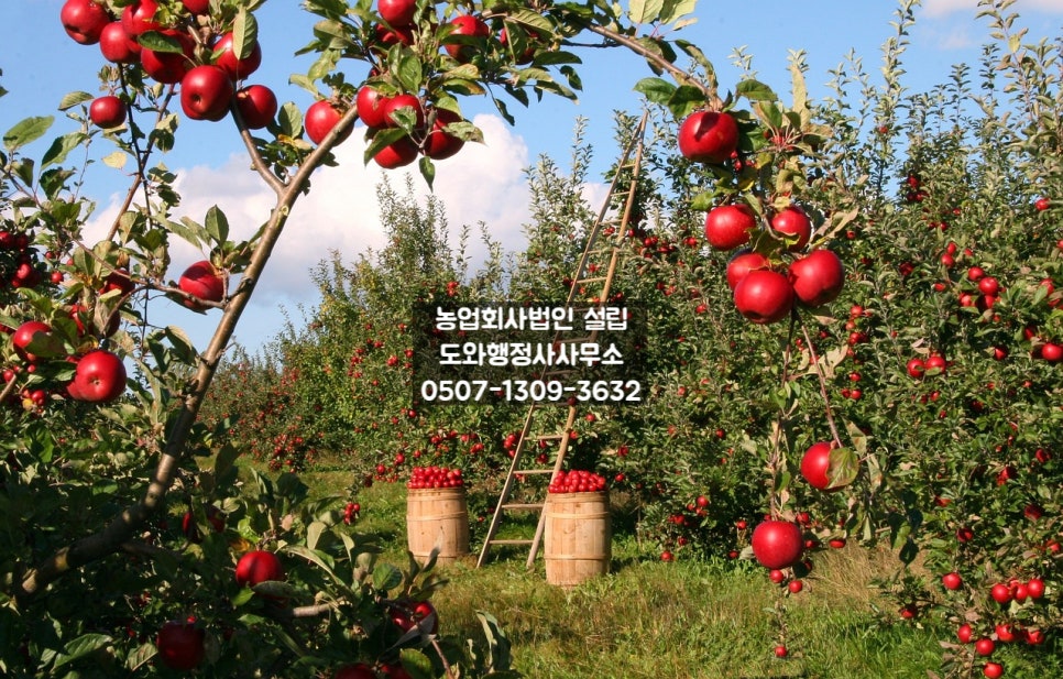 해산농산물판매 이미지