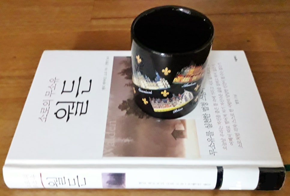 데이빗서적 이미지