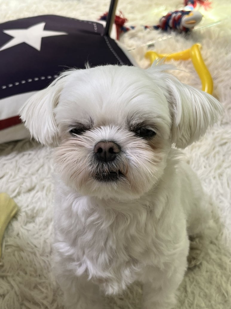 비비큐시흥배곧점 이미지