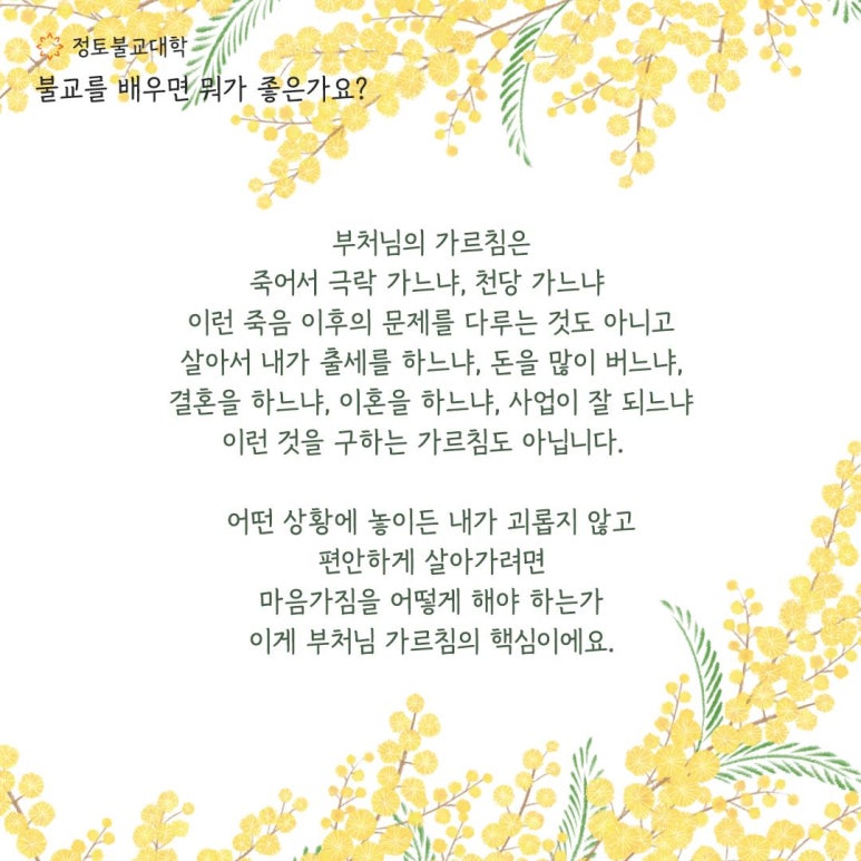 정토환경 이미지