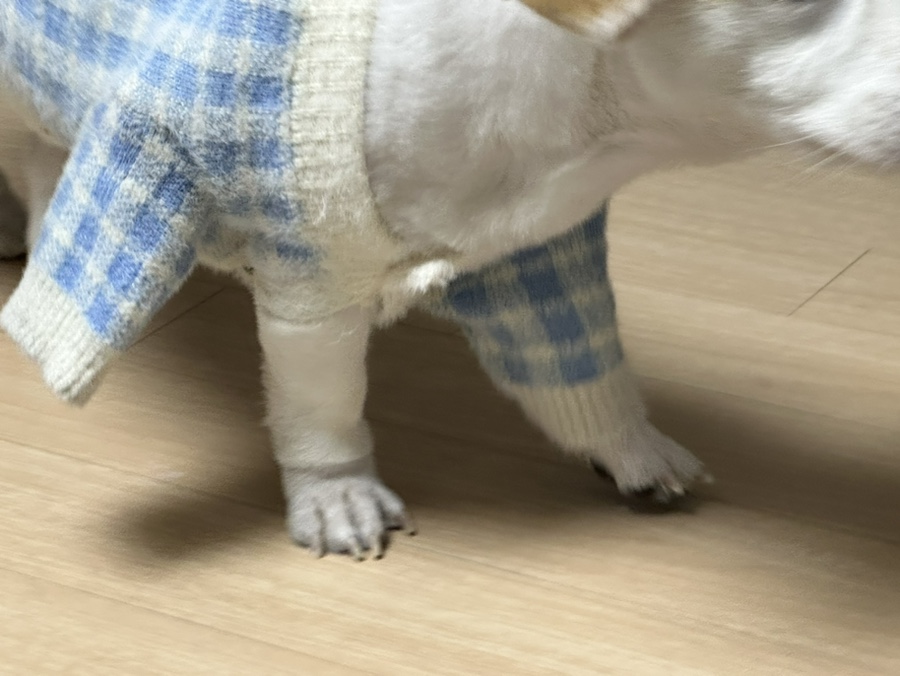 야미뽀 이미지