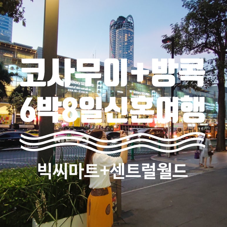 월드마트타이 이미지