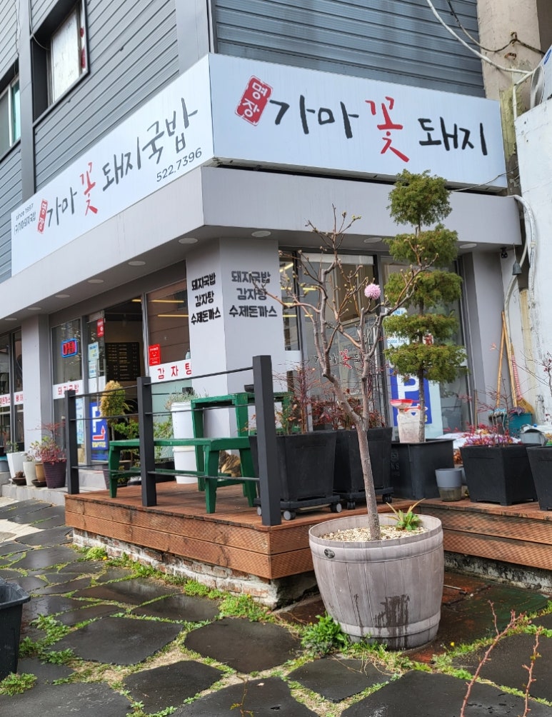 가마꽃돼지 이미지