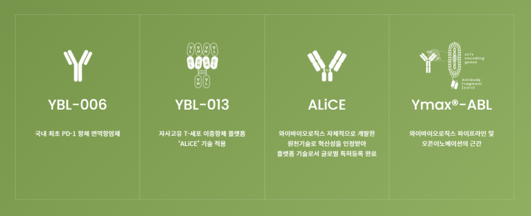 와이기업 이미지