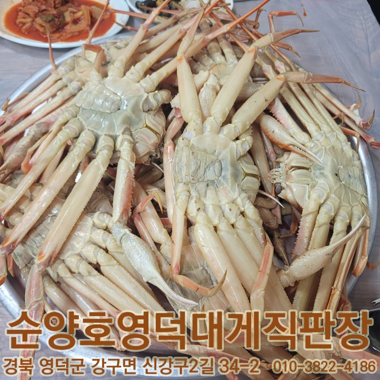 순양호영덕대게직판장 이미지