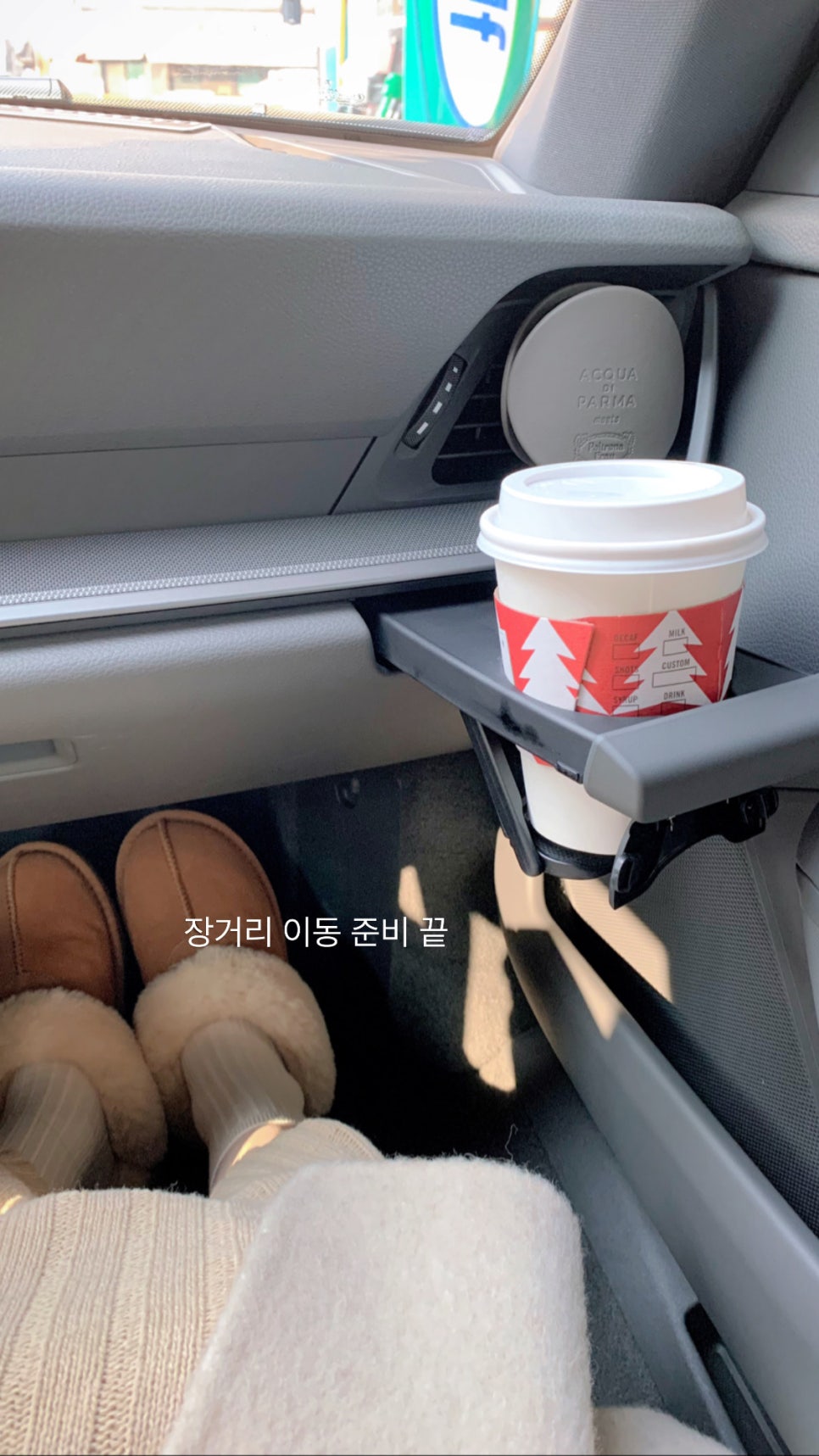테라리치 이미지