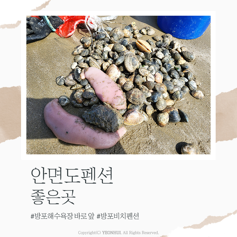 방포비치 이미지