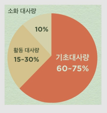 올바로짐 이미지