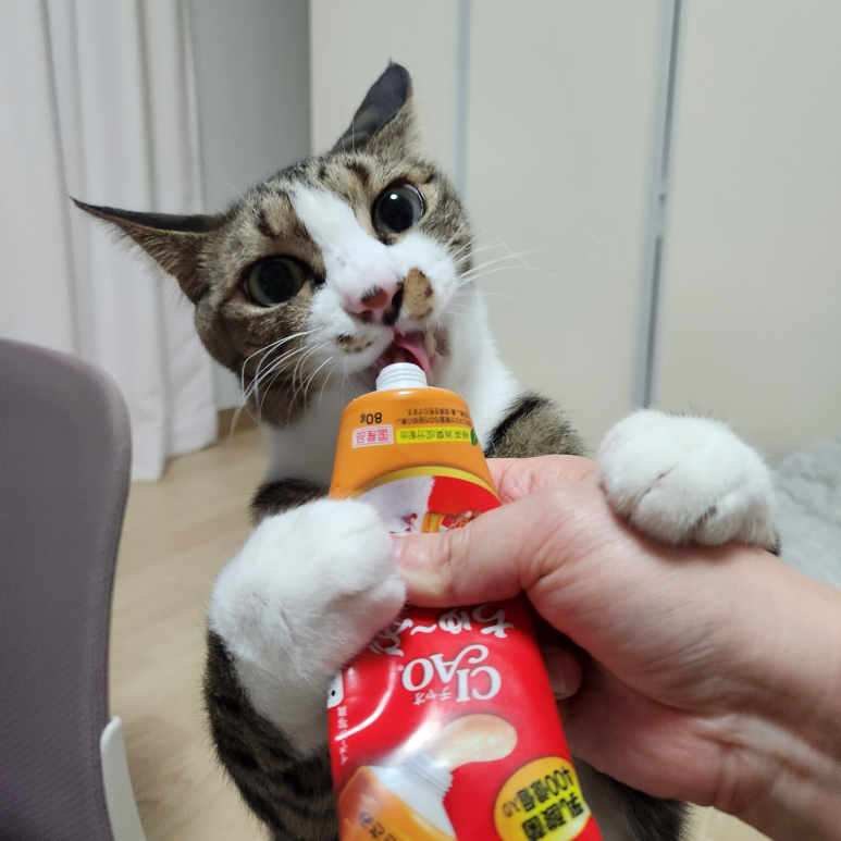 성일테크 이미지
