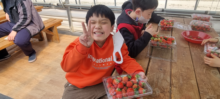 포도나무사회적협동조합 이미지