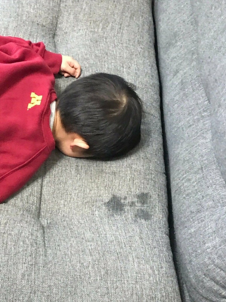 플루슬리 이미지