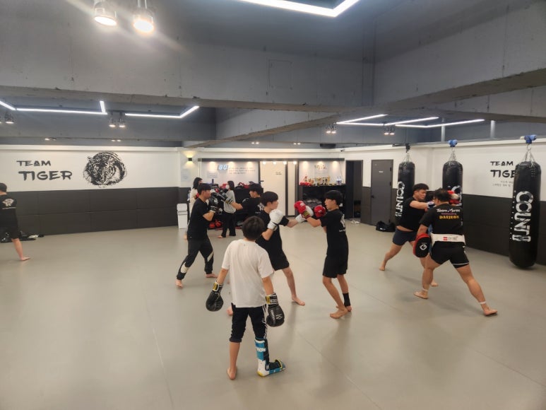 팀타이거.킥복싱.이종격투기 이미지