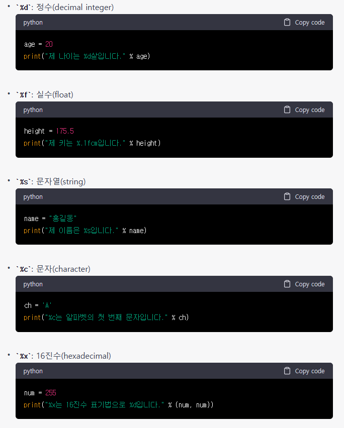 코딩큐레이터 이미지