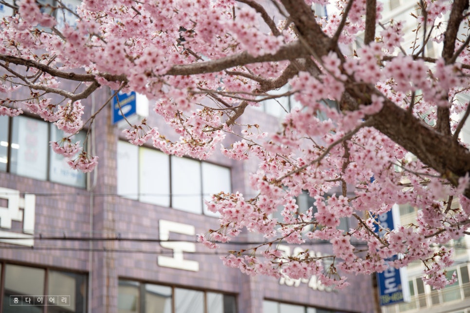 부산배화학교 이미지