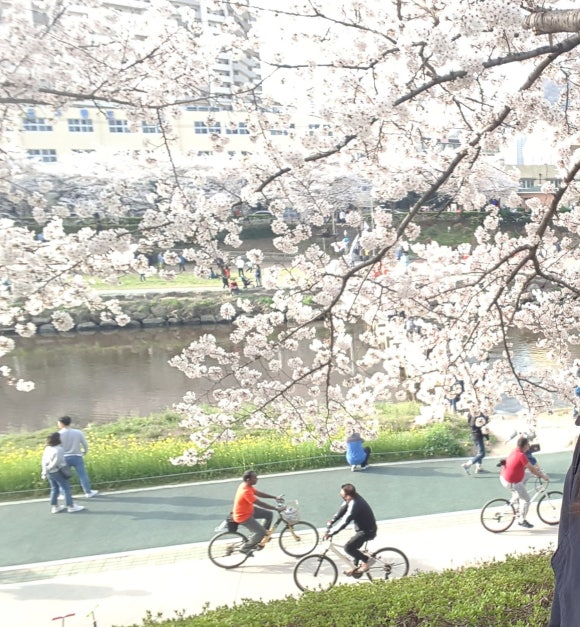 금정매점 이미지