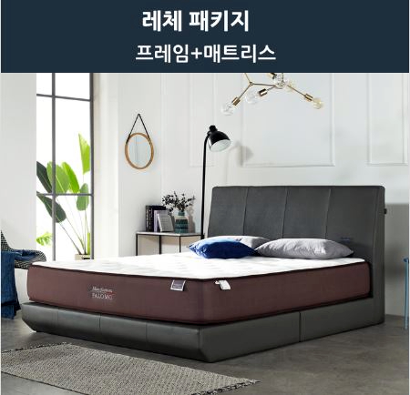 레체플러스 이미지
