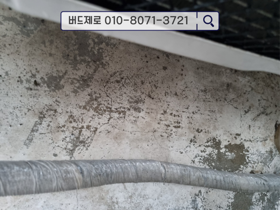 비둘기세탁소 이미지