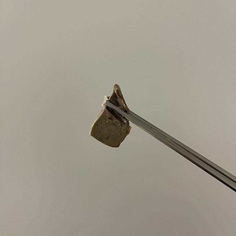 맛짱푸드 이미지