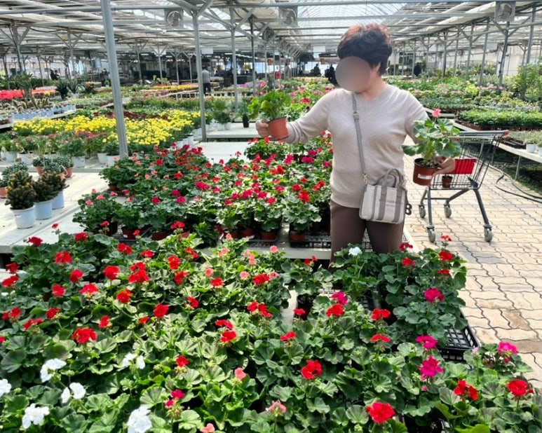 미래꽃화분 이미지