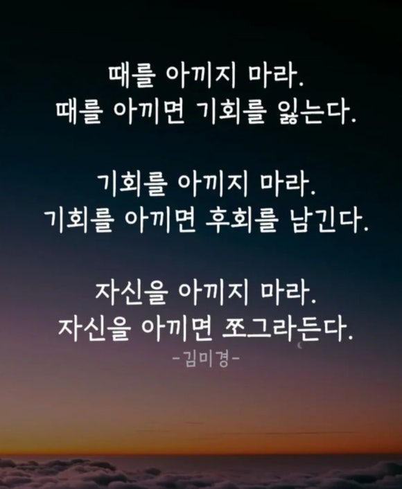초록나무 이미지