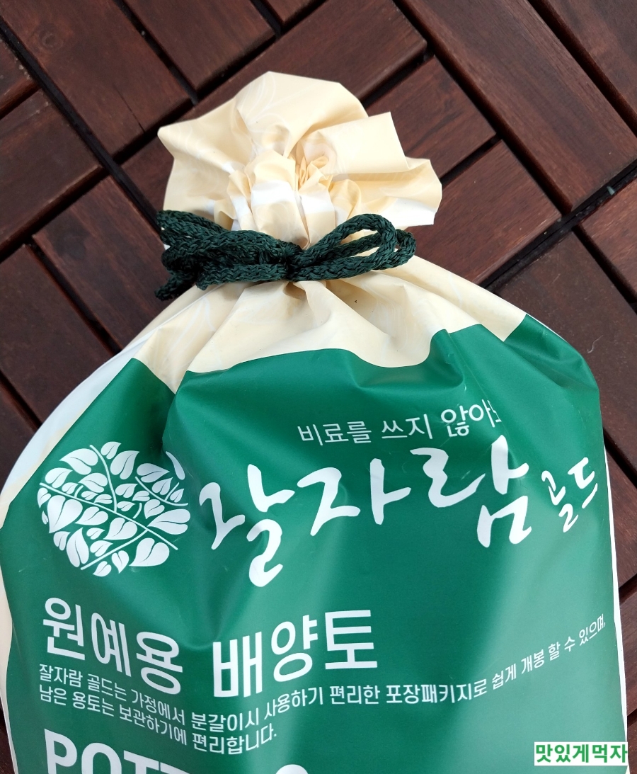 자람주머니 이미지