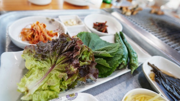 서파장어랜드 이미지