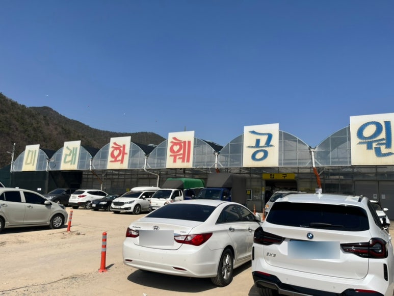 미래꽃화분 이미지
