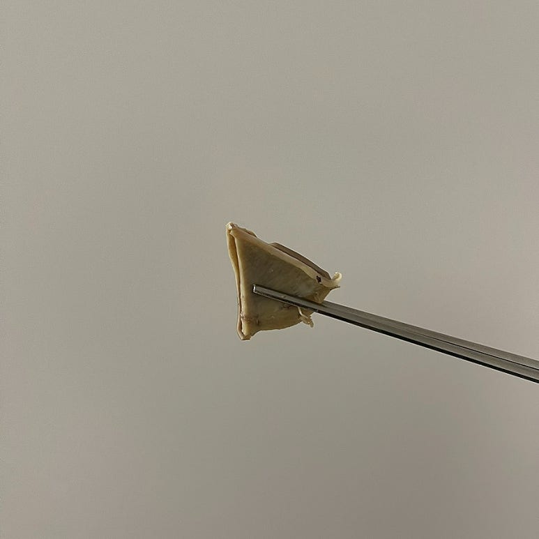 맛짱푸드 이미지