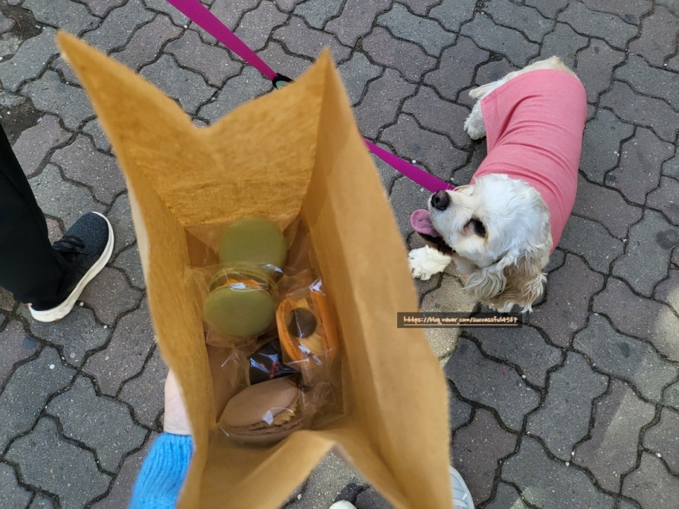 달큼희 이미지